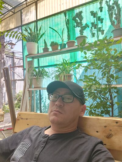  ,   Dik, 41 ,   ,   