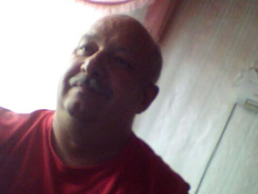  -,   Volj, 65 ,   , 