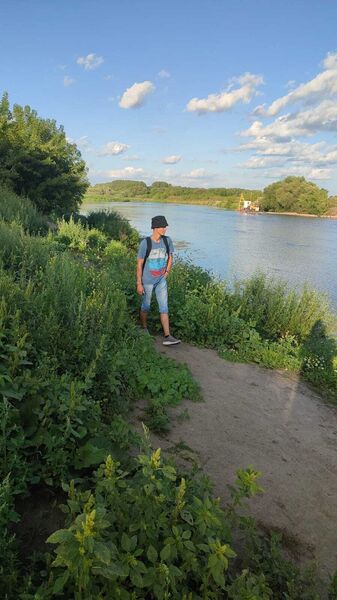  -,   Nikita, 29 ,     , c 
