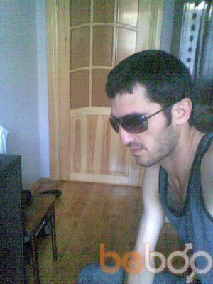 ,   ToTo, 41 ,   