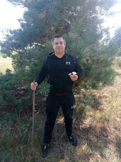  ,   , 41 ,   ,   , 