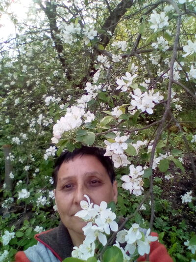  -,   , 70 ,   , 