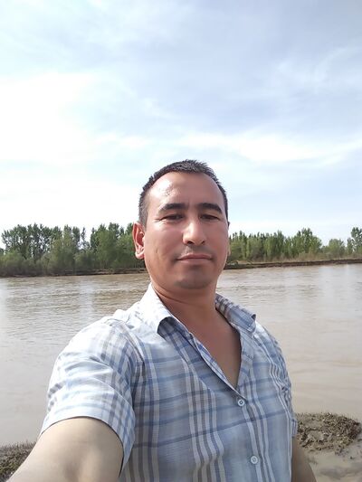  ,   Hurshid, 31 ,     , c 