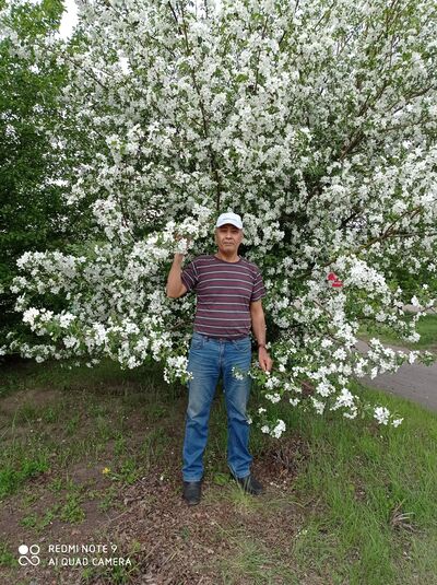  ,   , 57 ,     , c , 