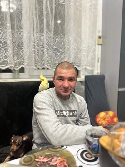  ,   , 36 ,   ,   