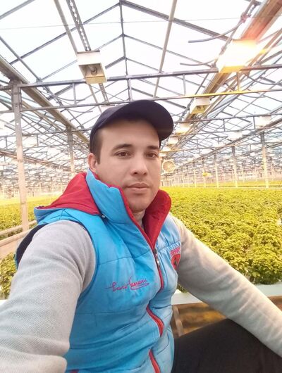  ,   , 33 ,   ,   , c , 