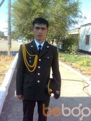  ,    53933336, 38 ,   