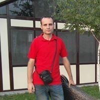  ,   , 41 ,   