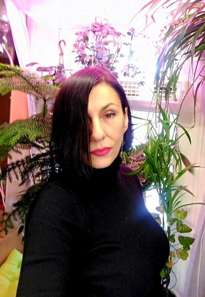  -,   , 51 ,   ,   , 