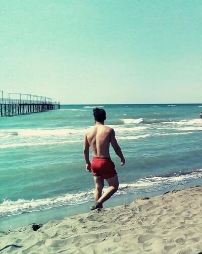  ,   Java, 31 ,   ,   , c , 