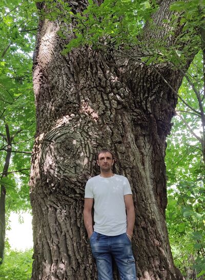  Swiebodzice,   , 47 ,  