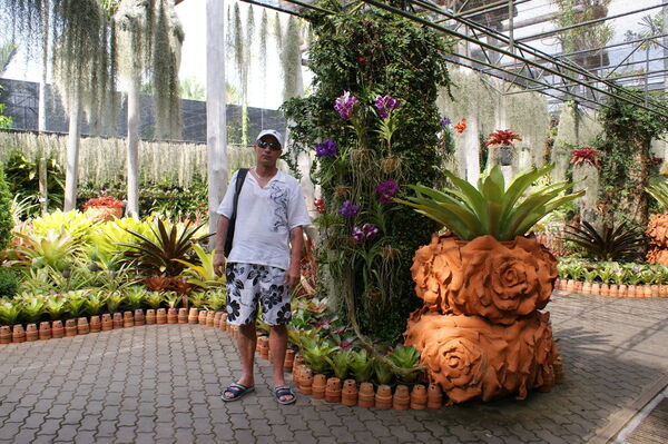  ,   , 53 ,  