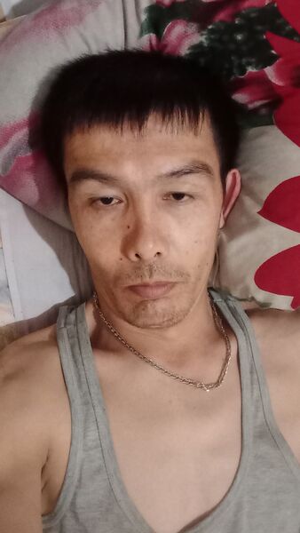  -,   , 41 ,   ,   , c 