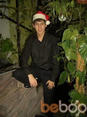  ,   , 37 ,  
