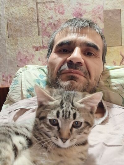  ,   Aziz, 44 ,   ,   