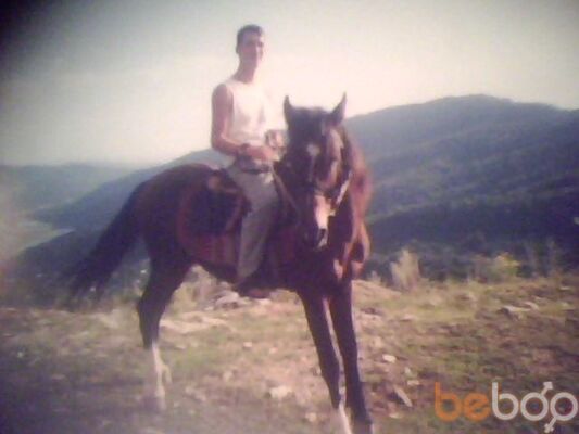  ,   DEMON, 44 ,  