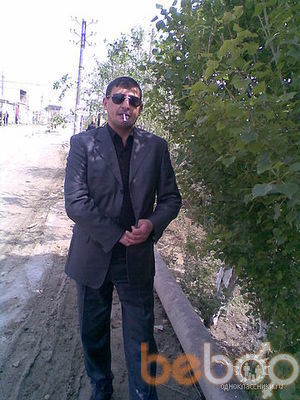 ���������� ����, ���� ������� Shans, 40 ���, ������������ ��� ������