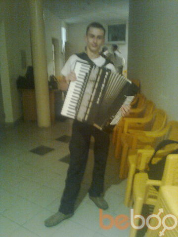  ,   Vadim, 33 ,   ,   , c 