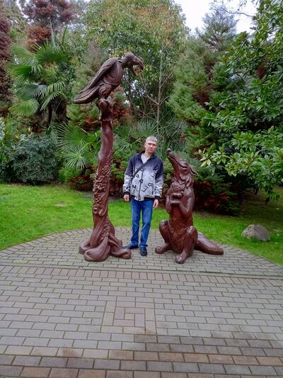  ,   Denis, 41 ,   ,   , c , 