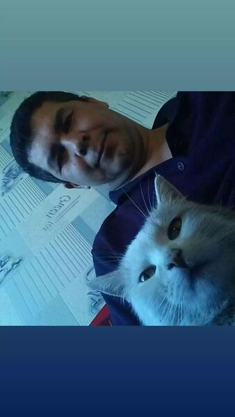  ,   Said, 46 ,   ,   