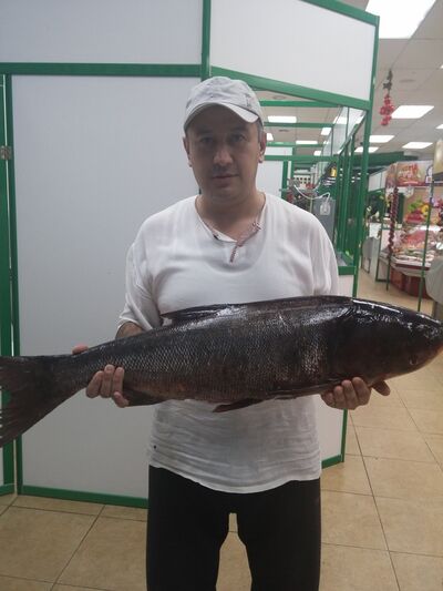  ,   Alex, 46 ,   ,   , c 