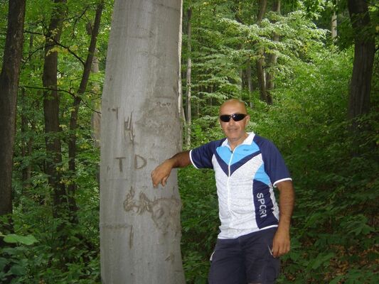  ,   , 46 ,   ,   , c , 