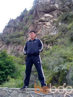  ,   Maksi, 37 ,   