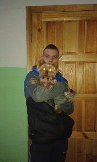  ,   , 29 ,   ,   , c 