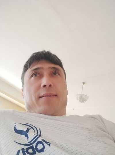  ,   ZAMAL, 40 ,   ,   