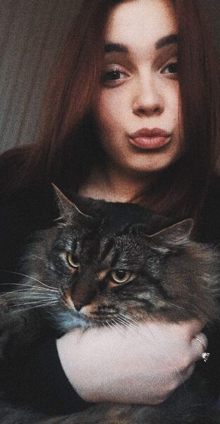  ,   , 23 ,  