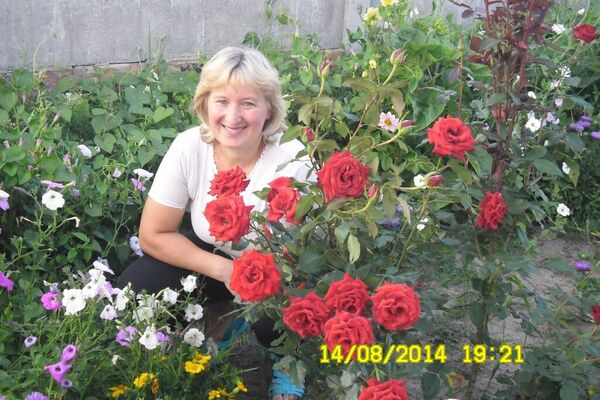  ,   , 58 ,   ,   