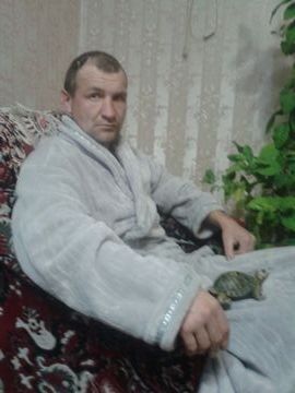  ,   LSD, 49 ,   