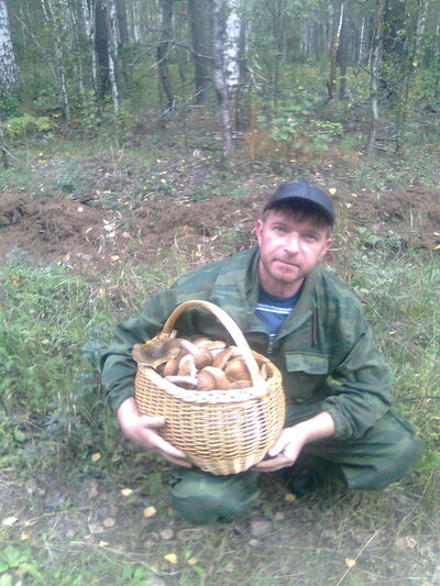  ,   , 51 ,  