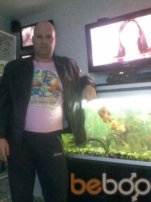  ,   , 51 ,   