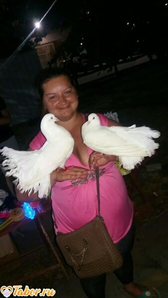   ,   , 38 ,   c , 