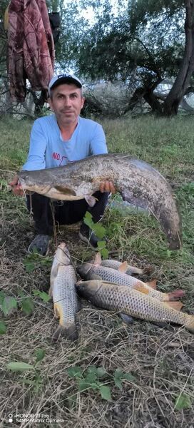  ,   , 45 ,   ,   
