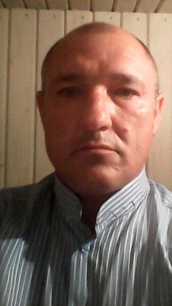  -,   , 53 ,   ,   , c 