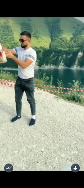  ,   Kerimov, 37 ,   ,   