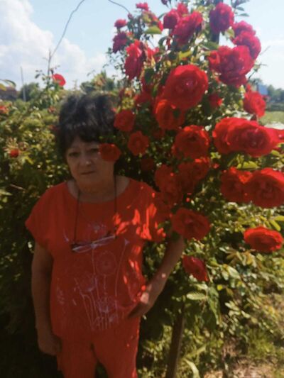  ,   , 67 ,   ,   , 