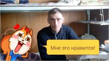  7286611  , 42 ,    