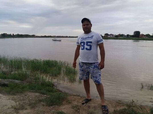   ,    , 43 ,   