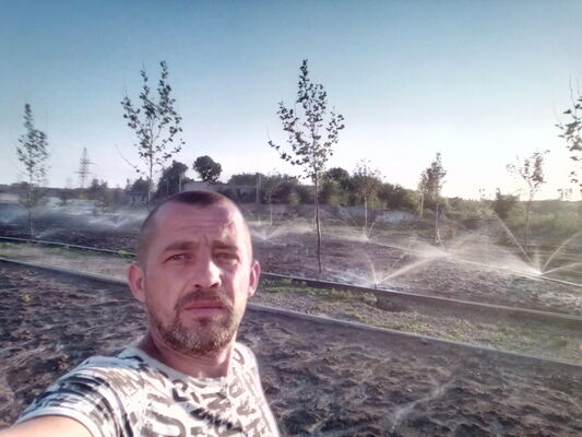  ,   Serega, 43 ,   ,   , c , 