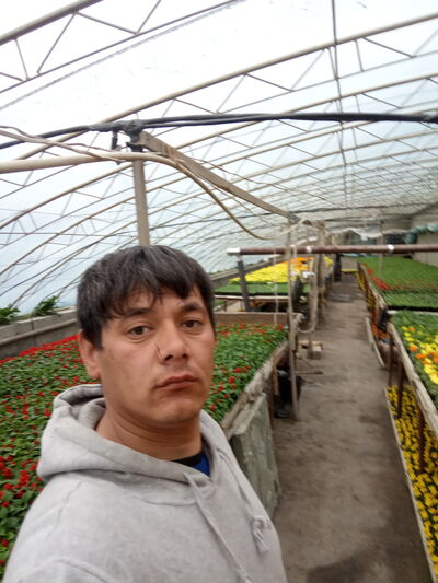  ,   , 35 ,   ,   