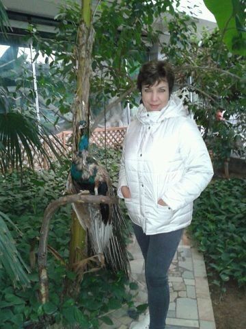  ,   , 54 ,   ,   , c 