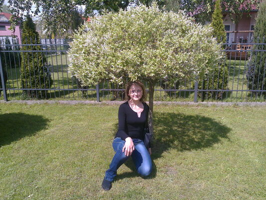  ,   , 50 ,  