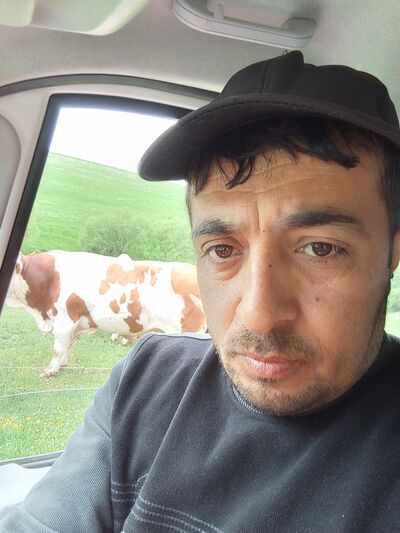  Gross-Gerau,   , 42 ,   ,   