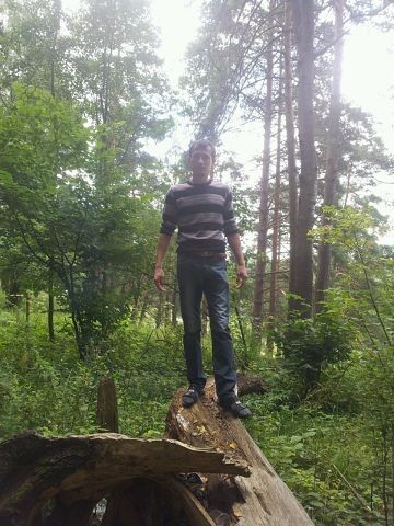 ���������� ���������, ���� ������� �����, 41 ���, ������������ ��� ����� � ���������, c�������� ���������