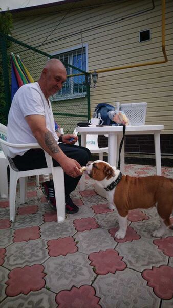  ,   , 53 ,   , c , 