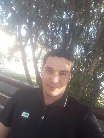  -,   , 38 ,   ,   