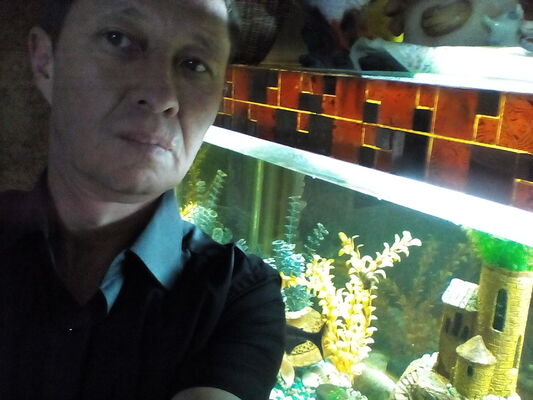  ,   , 52 ,  